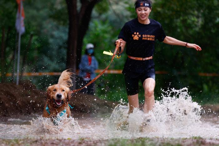 北京站狗巴迪勇士赛首日激烈比拼开启，勇士部